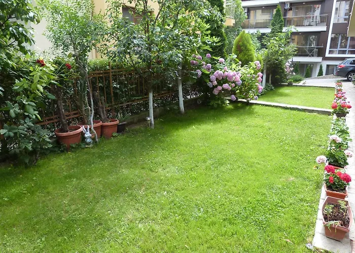 Beroe 3* Свети Влас
