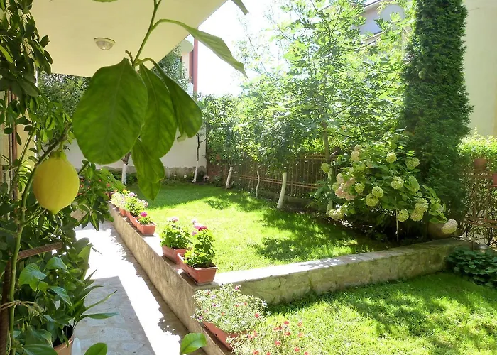 Хотел берое Свети Влас